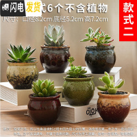 三维工匠多肉花盆粗陶透气大口径家用创意个性肉肉植物陶瓷老桩盆 套装二 中等花盆容器