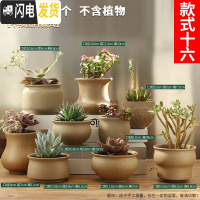 三维工匠多肉花盆粗陶透气大口径家用创意个性肉肉植物陶瓷老桩盆 套装十六 中等花盆容器