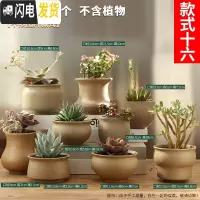 三维工匠多肉花盆粗陶透气大口径家用创意个性肉肉植物陶瓷老桩盆 套装十六 中等花盆容器