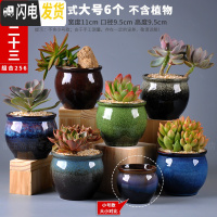 三维工匠多肉花盆粗陶透气大口径家用创意个性肉肉植物陶瓷老桩盆 套装二十三 中等花盆容器