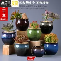 三维工匠多肉花盆粗陶透气大口径家用创意个性肉肉植物陶瓷老桩盆 套装二十三 中等花盆容器