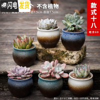 三维工匠多肉花盆粗陶透气大口径家用创意个性肉肉植物陶瓷老桩盆 套装十八 中等花盆容器