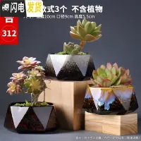 三维工匠多肉花盆粗陶透气大口径家用创意个性肉肉植物陶瓷老桩盆 套装四 中等花盆容器