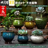 三维工匠多肉花盆粗陶透气大口径家用创意个性肉肉植物陶瓷老桩盆 套装十九 中等花盆容器