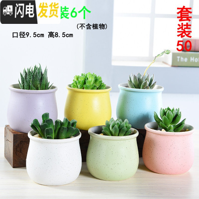 三维工匠多肉花盆批发大口径素烧陶瓷室内植物透气性花盆 套装50 中等花盆容器