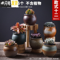 三维工匠多肉花盆粗陶透气大口径家用创意个性肉肉植物陶瓷老桩盆 套装十二 中等花盆容器