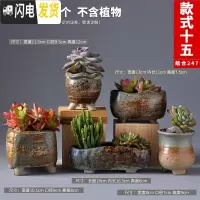 三维工匠多肉花盆粗陶透气大口径家用创意个性肉肉植物陶瓷老桩盆 套装十五 中等花盆容器