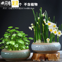 三维工匠水仙花盆陶瓷大口径无孔铜钱碗莲一叶莲室内大号水培盆 图片款式两个一组 大花盆容器