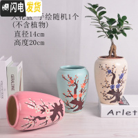 三维工匠陶瓷花盆多肉绿萝吊兰盆栽 家用阳台室内创意 大花盆-手绘随机1个 中等花盆容器