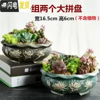 三维工匠大口径拼盘多肉花盆陶瓷个性粗陶肉肉植物大号创意小花盆 拼盘-ZW组合两个(带孔) 中等花盆容器
