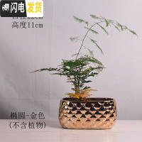 三维工匠陶瓷花盆多肉绿萝吊兰盆栽 家用阳台室内创意 椭圆-金色 中等花盆容器