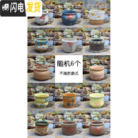 三维工匠麦饭石多肉花盆陶瓷手绘粗陶复古爆裂创意大老桩盆栽室内 (中盆) 中等花盆容器