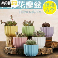 三维工匠多肉花盆陶瓷创意个性粗陶肉肉植物盆器大口径小花盆 乳白色六彩花瓣6个 中小花盆容器