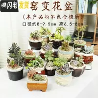 三维工匠多肉花盆陶瓷创意个性粗陶肉肉植物盆器大口径小花盆 窑变随机(6个) 中小花盆容器