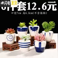 三维工匠花盆陶瓷大号肉肉塑料紫砂绿萝多肉植物多肉花盆 手绘蓝彩花盆6个 中等花盆容器