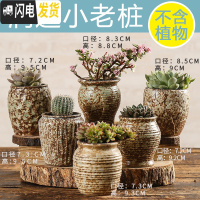 三维工匠多肉花盆陶瓷创意个性粗陶肉肉植物盆器大口径小花盆 润达小老桩6个 中小花盆容器
