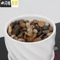 三维工匠多肉植物花盆铺表面用品小石头沙子珍珠岩 鹅软石300克 小花盆容器