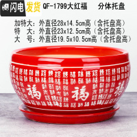 三维工匠28厘米陶瓷花盆特大号植物盆栽花盆君子兰花大花盆陶瓷带托盘 QF-1799大红福 外直径约19cm花盆容器