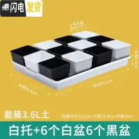 三维工匠美莳多肉控根花盆带托盘大号透气肉肉植物花盆创意多肉塑料花盆器 白托+黑白盆各6个(口径7cm) 中等花盆容器