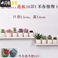 三维工匠4个9.9元陶瓷花盆多肉粗陶素烧透气个性自彩陶瓷花盆大小盆栽 深灰色粗陶拇指盆10个 小花盆容器