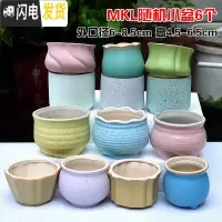 三维工匠4个9.9元陶瓷花盆多肉粗陶素烧透气个性自彩陶瓷花盆大小盆栽 金色MKL随机小盆6个 小花盆容器