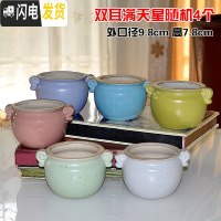 三维工匠4个9.9元陶瓷花盆多肉粗陶素烧透气个性自彩陶瓷花盆大小盆栽 双耳满天星随机4个 小花盆容器