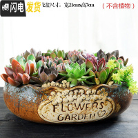 三维工匠大口径拼盘多肉花盆大号创意个性陶瓷简约粗陶多肉植物小花盆 拼盘-花边灰(带孔) 大花盆容器