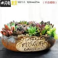 三维工匠大口径拼盘多肉花盆大号创意个性陶瓷简约粗陶多肉植物小花盆 拼盘-花边灰(带孔) 大花盆容器
