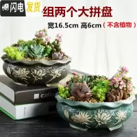 三维工匠大口径拼盘多肉花盆大号创意个性陶瓷简约粗陶多肉植物小花盆 拼盘-ZW组合两个(带孔) 大花盆容器