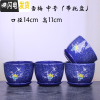 三维工匠中国风陶瓷花盆带托盘一组两个四个室内简约家用绿萝花盆 303蓝雪梅四个中号 大花盆容器