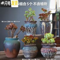 三维工匠手造多肉花盆大粗陶透气复古创意个性老桩肉肉植物高盆大口径 DL手造-16组合5个 中等花盆容器