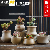 三维工匠多肉花盆陶瓷简约粗陶透气室内大口径肉肉植物创意小花盆 款式八 中等花盆容器