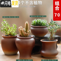 三维工匠多肉花盆陶瓷简约粗陶透气室内大口径肉肉植物创意小花盆 款式六 中等花盆容器