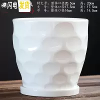 三维工匠花盆陶瓷大号特大带托盘北欧简约创意个性绿萝小多肉花盆 TX钻石白-雨点 特大花盆容器