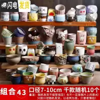 三维工匠多肉花盆陶瓷简约粗陶透气室内大口径肉肉植物创意小花盆 款式四 中等花盆容器