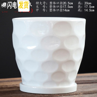 三维工匠花盆陶瓷大号特大带托盘北欧简约创意个性绿萝小多肉花盆 TX钻石白-雨点 中等花盆容器