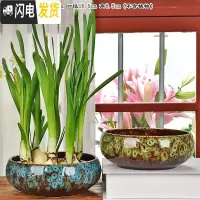 三维工匠陶瓷大号家用室内无孔铜钱一叶莲碗莲盆多肉大口径水培 沫雨花盆2件套(无孔水培) 中等花盆容器