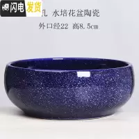 三维工匠铜钱水仙花盆陶瓷 简约创意水培绿萝碗莲大号多肉无孔盆栽 无孔-蓝雪花22厘米一个 大花盆容器