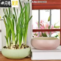 三维工匠陶瓷大号家用室内无孔铜钱一叶莲碗莲盆多肉大口径水培 粉绿花盆2件套(无孔水培) 中等花盆容器