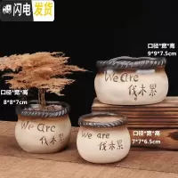 三维工匠多肉小花盆陶瓷大号大口径紫砂粗陶肉肉植物简约家用花盆 善根三个伐木累多肉盆 中等花盆容器