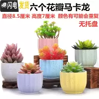 三维工匠多肉小花盆陶瓷大号大口径紫砂粗陶肉肉植物简约家用花盆 随机六个花瓣马卡龙 中等花盆容器