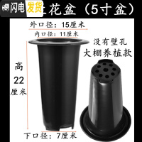 三维工匠塑料加厚加高兰盆带壁孔和不带壁孔款式花盆底自带沥水罩 6号兰花盆[5寸]没有拖盘 50个[同号]花盆容器