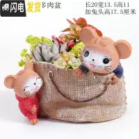 三维工匠大号口径多肉花盆创意个性简约现代卡通可爱精致小动物兔松鼠摆件 加大号松鼠多肉盆 中等花盆容器
