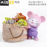 三维工匠大号口径多肉花盆创意个性简约现代卡通可爱精致小动物兔松鼠摆件 紫色大号布袋多肉盆 中等花盆容器