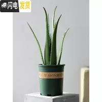 三维工匠加仑盆加厚大花盆多肉绿植花卉盆栽芦荟兰花绿萝鲜花月季专用花 [1个装]0.5加仑(12cm*13cm) 花盆容器