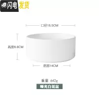 三维工匠ins多肉植物花盆陶瓷北欧简约木架创意无孔绿萝铜钱水培花盆小 白色花盆 中花盆容器