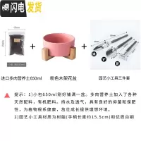 三维工匠ins多肉植物花盆陶瓷北欧简约木架创意无孔绿萝铜钱水培花盆小 粉色花盆+多肉土+园艺工具13元 中花盆容器