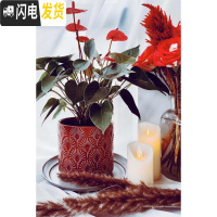 三维工匠MimiHome北欧冰裂蒲公英花盆家居陶瓷摆件彩色花盆绿植花器 中国红蒲公英[口径20CM高18CM] 花盆容器