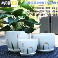 三维工匠花盆陶瓷大号带托盘家用绿萝吊篮盆简约大口径多肉植物盆 蒲公英3件 中等花盆容器