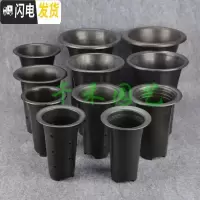 三维工匠塑料花盆透气盆气生盆国兰盆洋兰盆黑色凹底、平底兰花盆 黑色6寸平底有边孔 10个(送2米网套)花盆容器